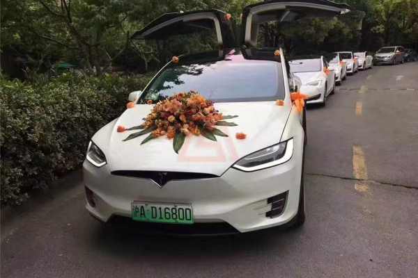 特斯拉MODELX+特斯拉MODELX车队