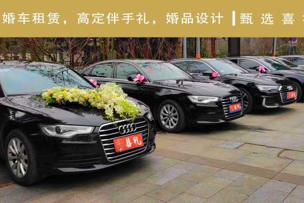 奥迪A8+奥迪A6L车队