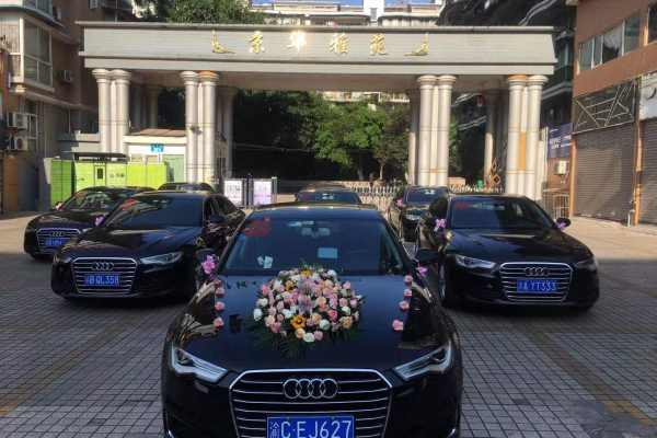 奥迪A6L+奥迪A6L车队