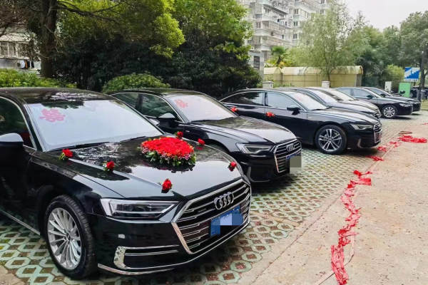 奥迪A8+奥迪A6L车队