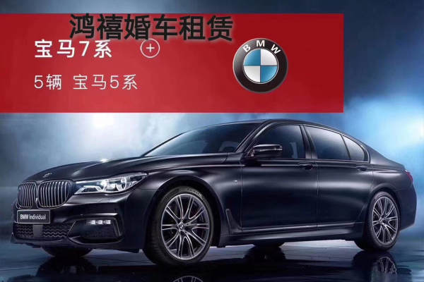 宝马7系+5 辆宝马5系车队