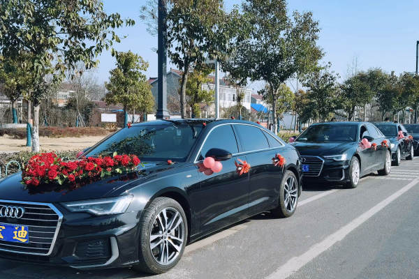 奥迪A8+奥迪A6L车队