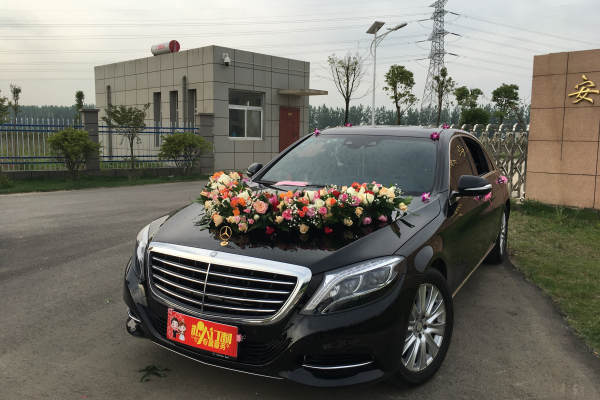 奔驰S级+奔驰E级车队