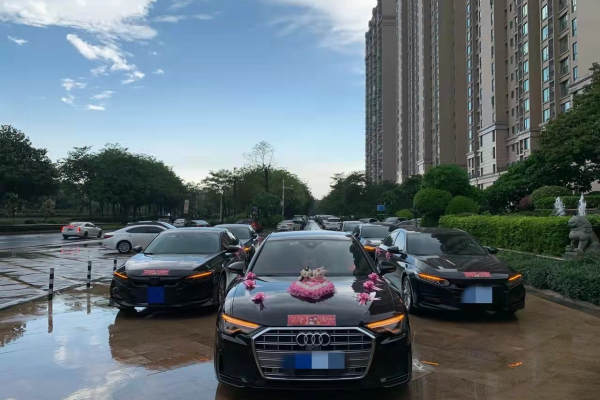 奥迪A6L+奥迪A6L车队