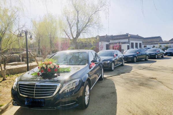 奔驰S级+奥迪A6L车队