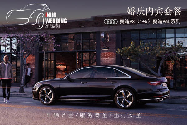 奥迪A8+奥迪A6L车队
