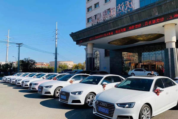 奔驰金标S600L+8辆奥迪A4L车队