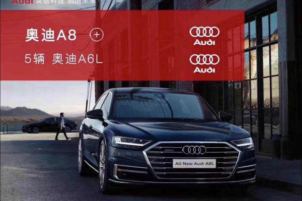 奥迪A8+奥迪A6L车队
