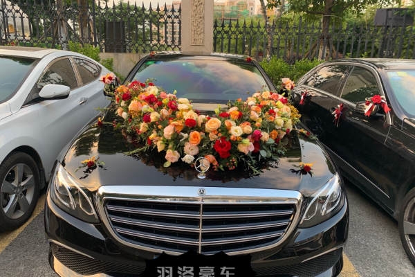奔驰S级+5辆奔驰E级车队