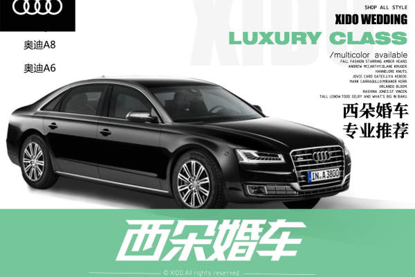 奥迪A8+奥迪A6L车队