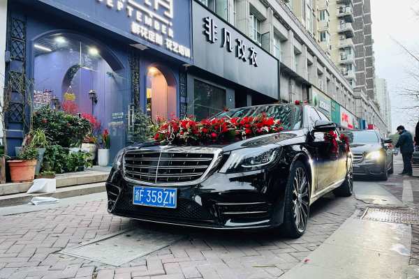 奔驰S级+奔驰E级车队