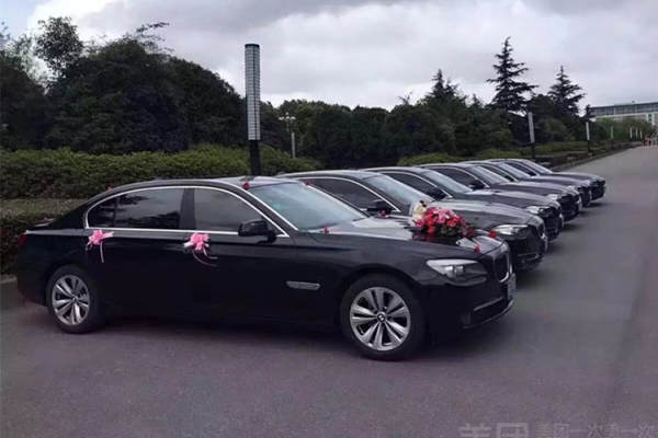 奔驰S级+奥迪A6L车队