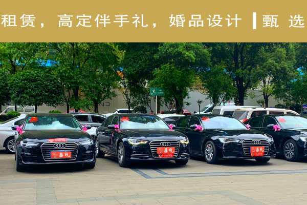玛莎拉蒂总裁+奥迪A6L车队