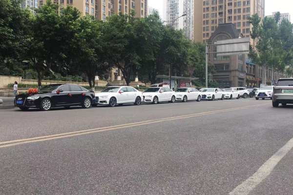 奥迪A6L+奥迪A4L车队