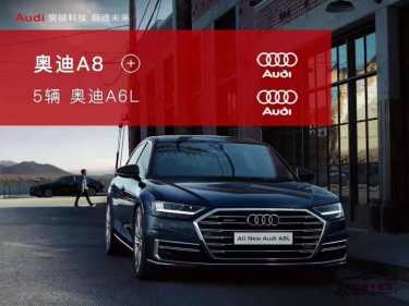 奥迪A8+奥迪A6L车队