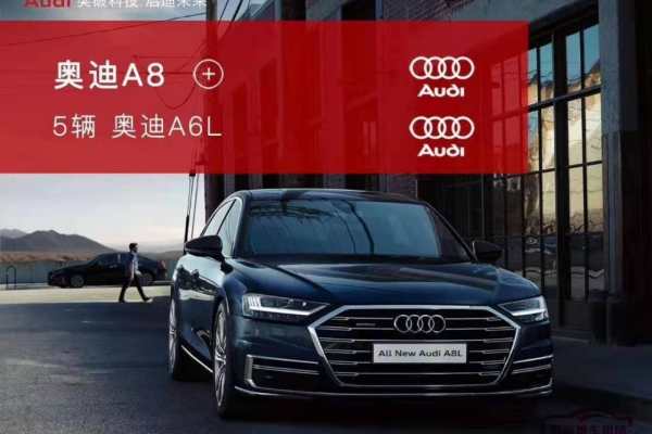 奥迪A8+奥迪A6L车队
