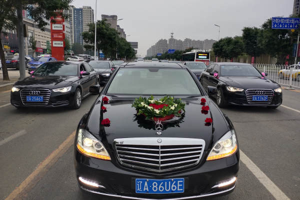 奔驰S级+奥迪A6L车队