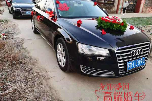 奥迪A8+奥迪A6L车队