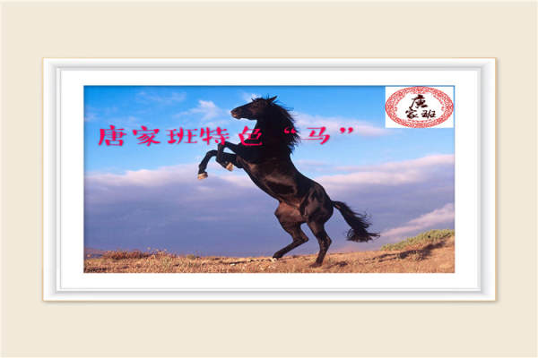 皇家马车车队