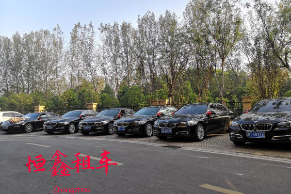 保时捷帕拉梅拉+宝马7系车队
