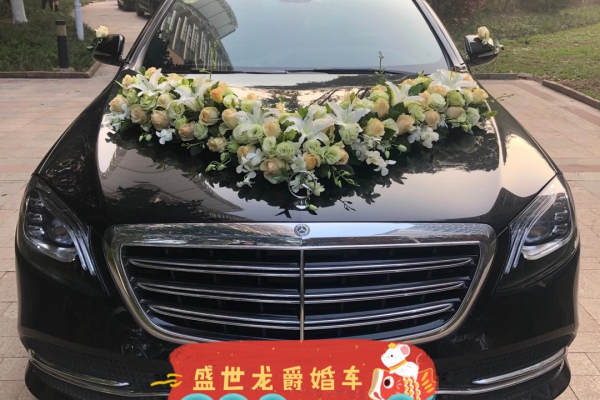 奔驰S级+丰田凯美瑞车队