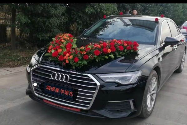 奥迪A6L+昂克赛拉车队