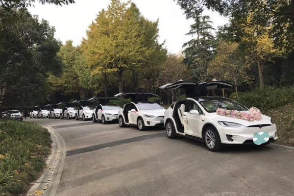特斯拉MODELX+奥迪奔驰宝马特斯拉奥迪A6L宝马5系奔驰E特斯拉车队