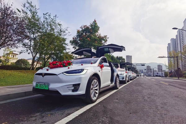 特斯拉MODELX+5辆特斯拉MODLE3车队