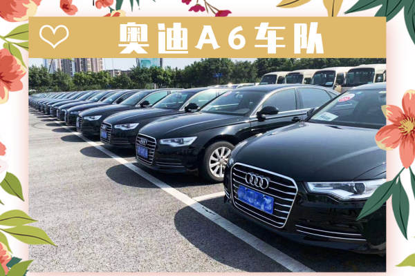 奥迪A6L+奥迪A6L车队