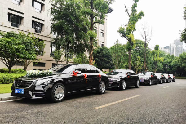 奔驰S级+奥迪A6L车队