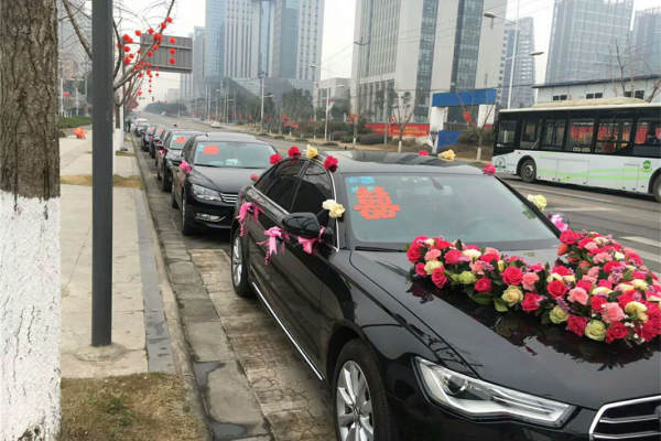 奥迪A6L+帕萨特车队