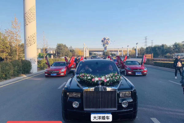 劳斯莱斯幻影+奔驰S级车队