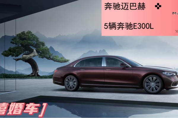 奔驰迈巴赫+奔驰E级车队