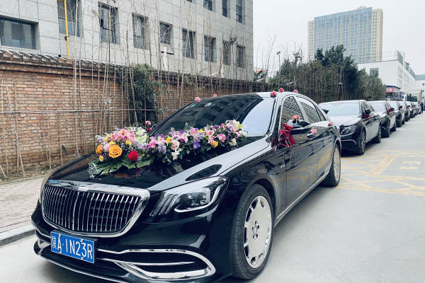 奔驰S级+奔驰E级车队