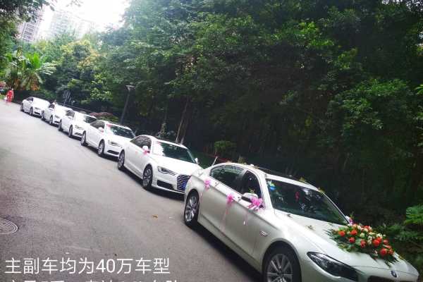 宝马5系+奥迪A6L车队