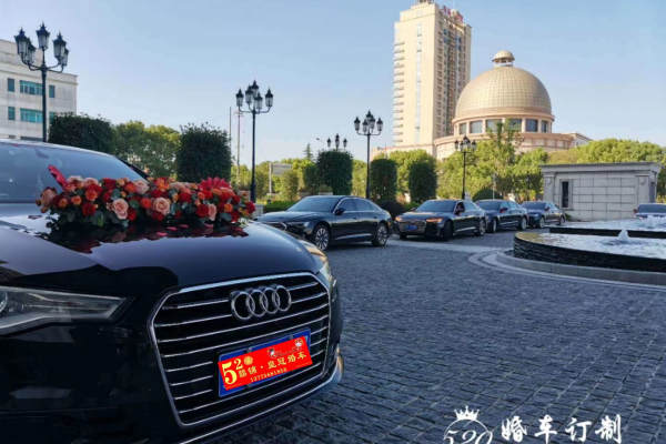 奥迪A6L+奥迪A6L车队