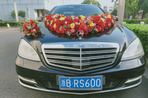奔驰S级+奥迪A6L车队
