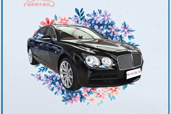 宝马7系+奥迪A6L车队