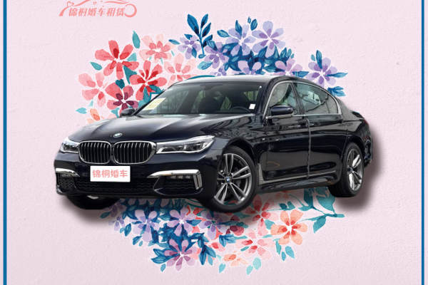 奔驰S级+奥迪A6L车队