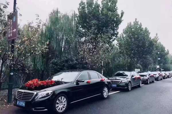 奔驰S级+奔驰E级车队