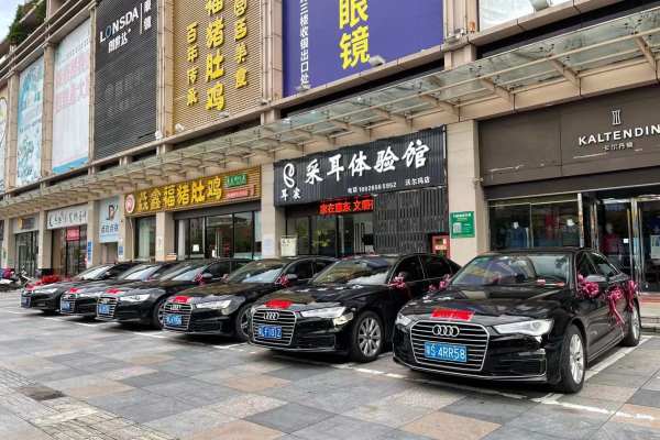 奥迪A6L+奥迪A6L车队