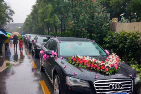 奥迪A8+奥迪A6L车队
