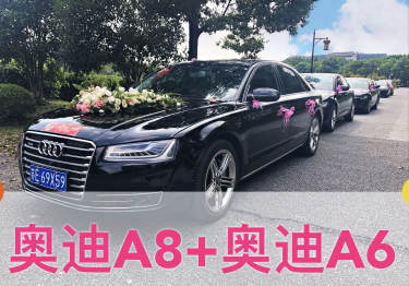 奥迪A8+奥迪A6L车队