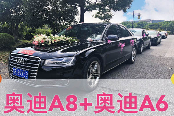 奥迪A8+奥迪A6L车队