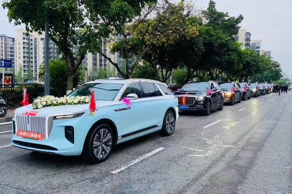 红旗E-HS9+红旗HS7车队