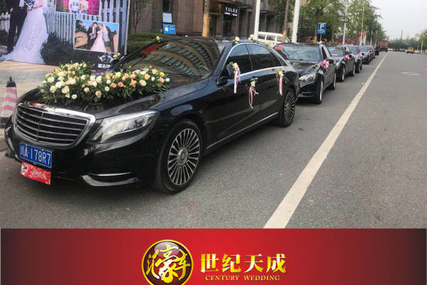 奔驰S级+奔驰E级车队
