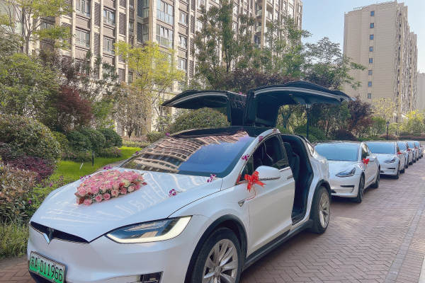 特斯拉MODELX+特斯拉MODEL车队