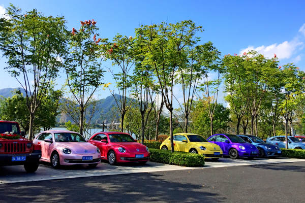 jeep牧马人+大众甲壳虫车队
