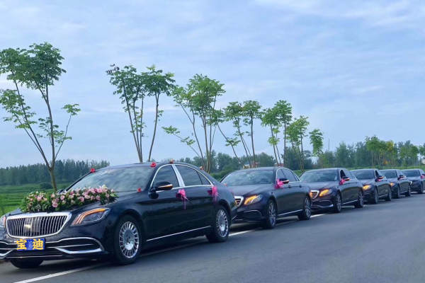 迈巴赫S500+奔驰S级车队