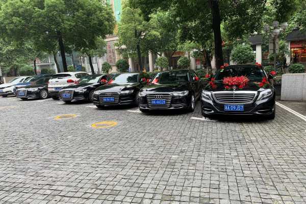 奔驰S级+奥迪A6L车队
